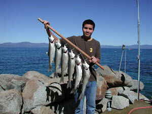 An Accommodation Tahoe guest displays his catch of the day taken from the Lake Tahoe
