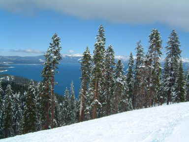 HOMEWOOD MOUNTAIN SKI RESORT -  compliments of Accommodation Tahoe