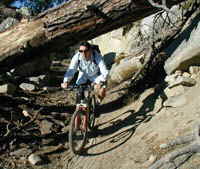 Lake Tahoe biking trails offer a range of technical difficulties.  Here a Accommodation Tahoe owner avoids a fallen tree on a Tahoe rim trail.