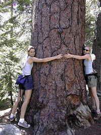 Accommodation Tahoe guests and Tree huggers Kate and Kayley from Canada enjoy nature at Lake Tahoe